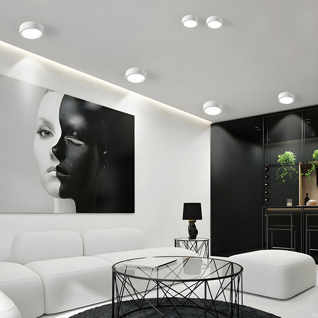 Ethan Surface Ceiling Light - Vakkerlight