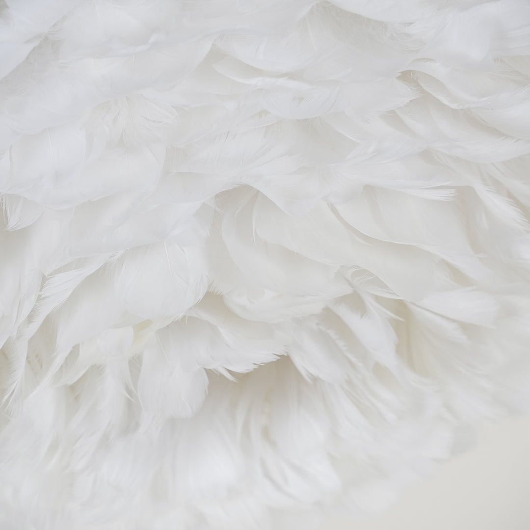 Feathered Ceiling Lamp