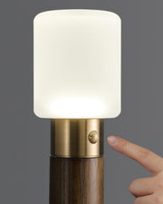 Fire Stick Built-in Battery Table Lamp - Vakkerlight