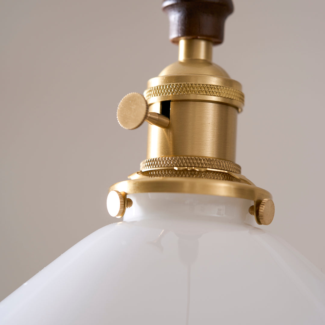 Flower Petals Pendant Lamp - Vakkerlight