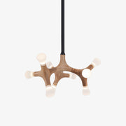 Flower Bone Chandelier - Vakkerlight