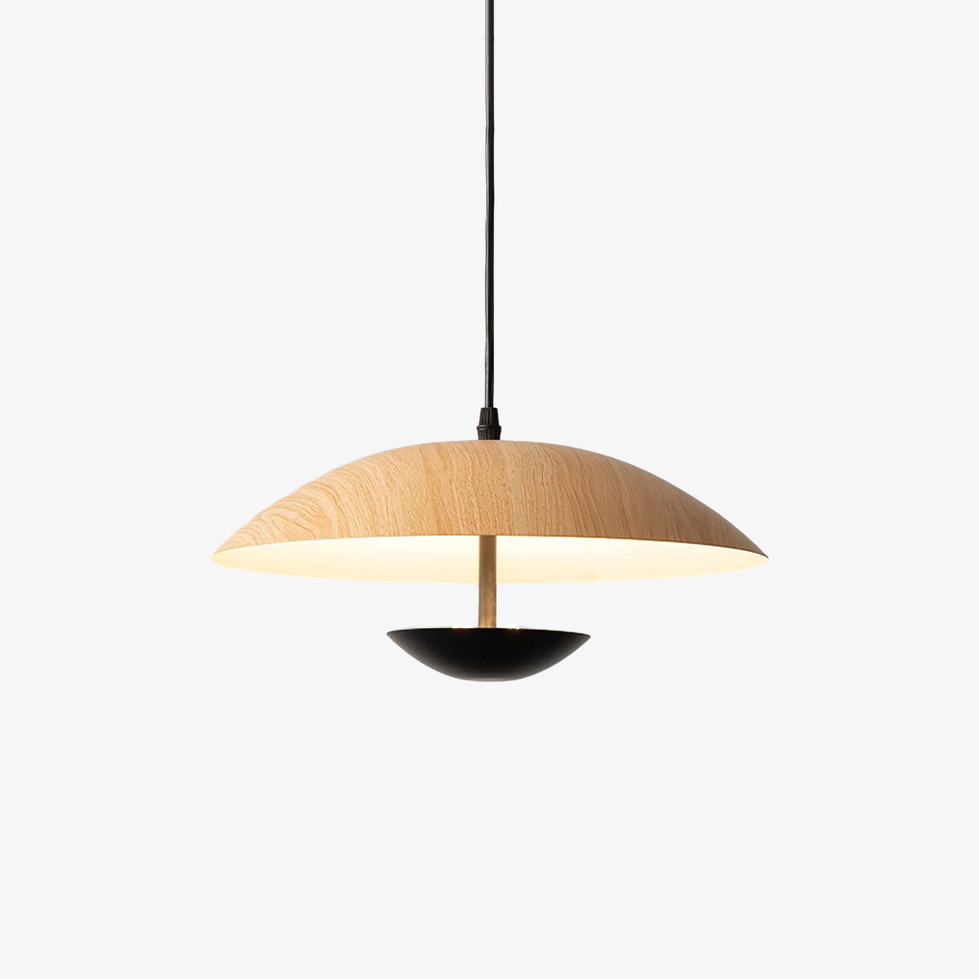 Frisbee Pendant Lamp