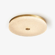 Frosted Dawn Ceiling Light