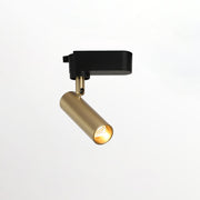 Gilded Rail Track Light