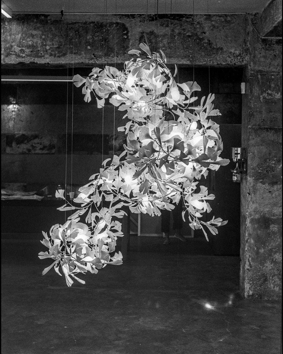 Gingko Chandelier F