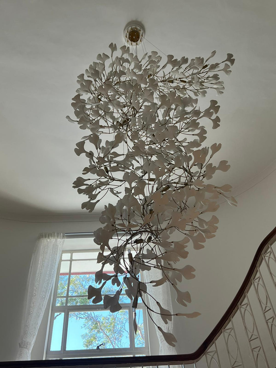 Gingko Chandelier F