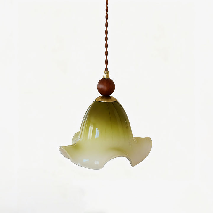 Gradient Petal Pendant Lamp - Vakkerlight