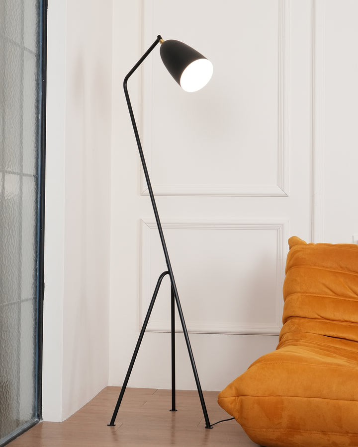 Grasshopper Floor Lamp