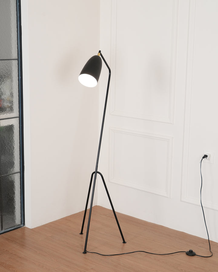 Grasshopper Floor Lamp