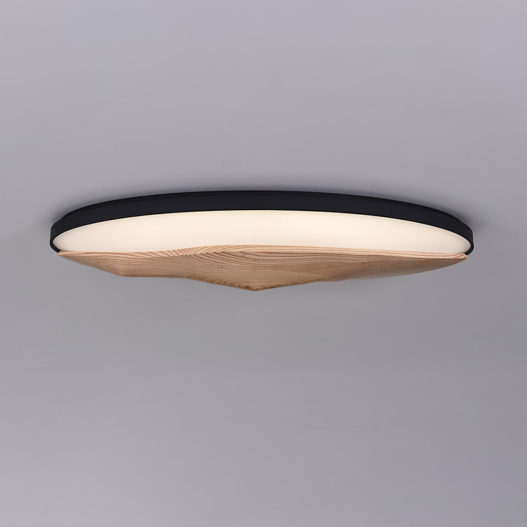 Half - Mountain Ceiling Lamp - Vakkerlight