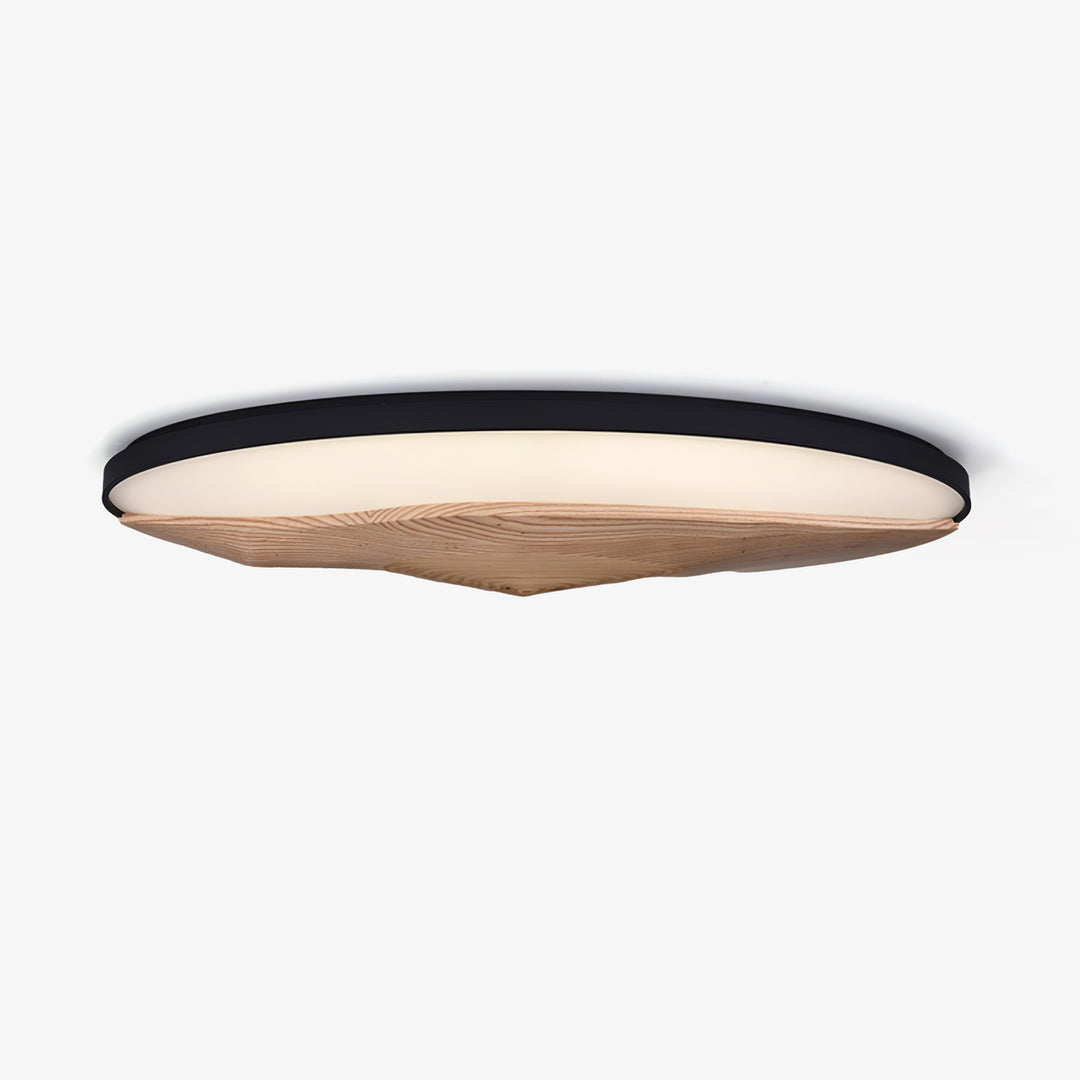 Half - Mountain Ceiling Lamp - Vakkerlight