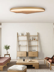 Half-Mountain Ceiling Lamp