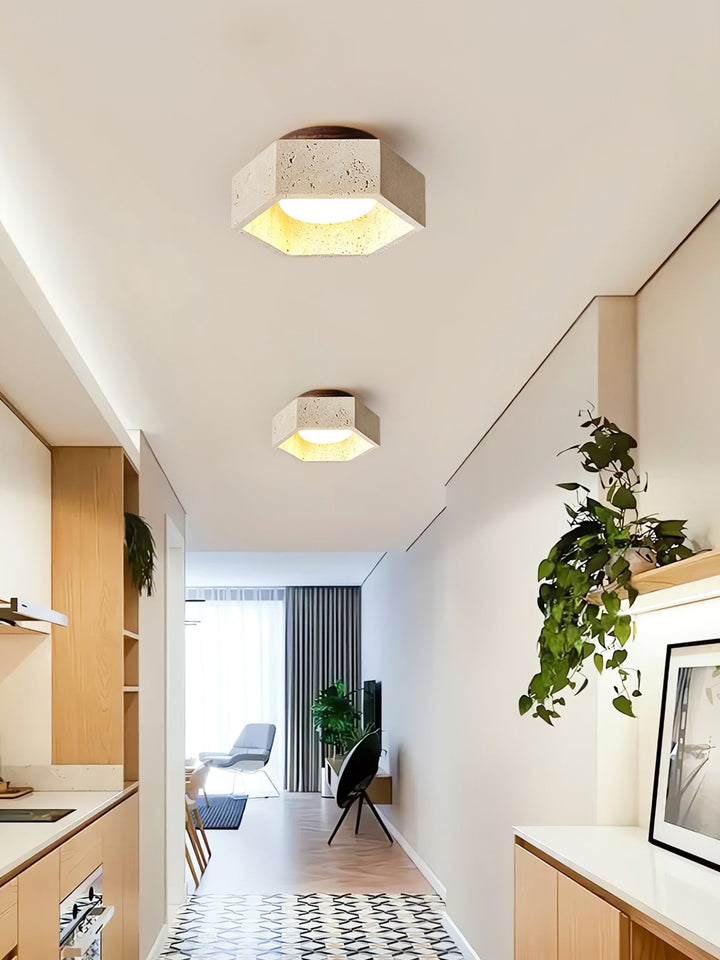 Hexa Core Ceiling Light - Vakkerlight