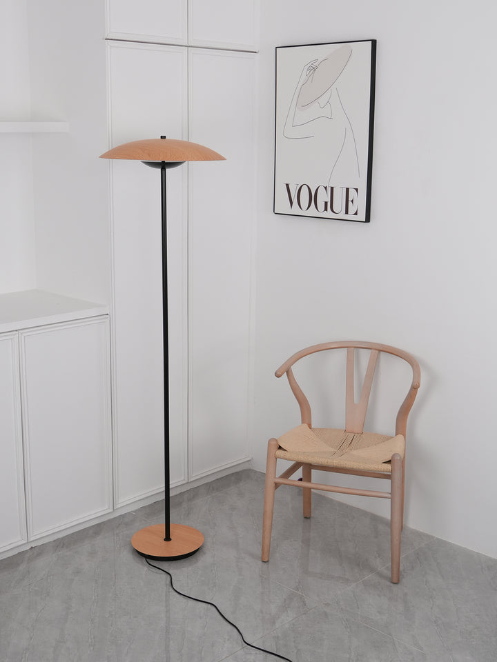 Innovative Directional Floor Lamp