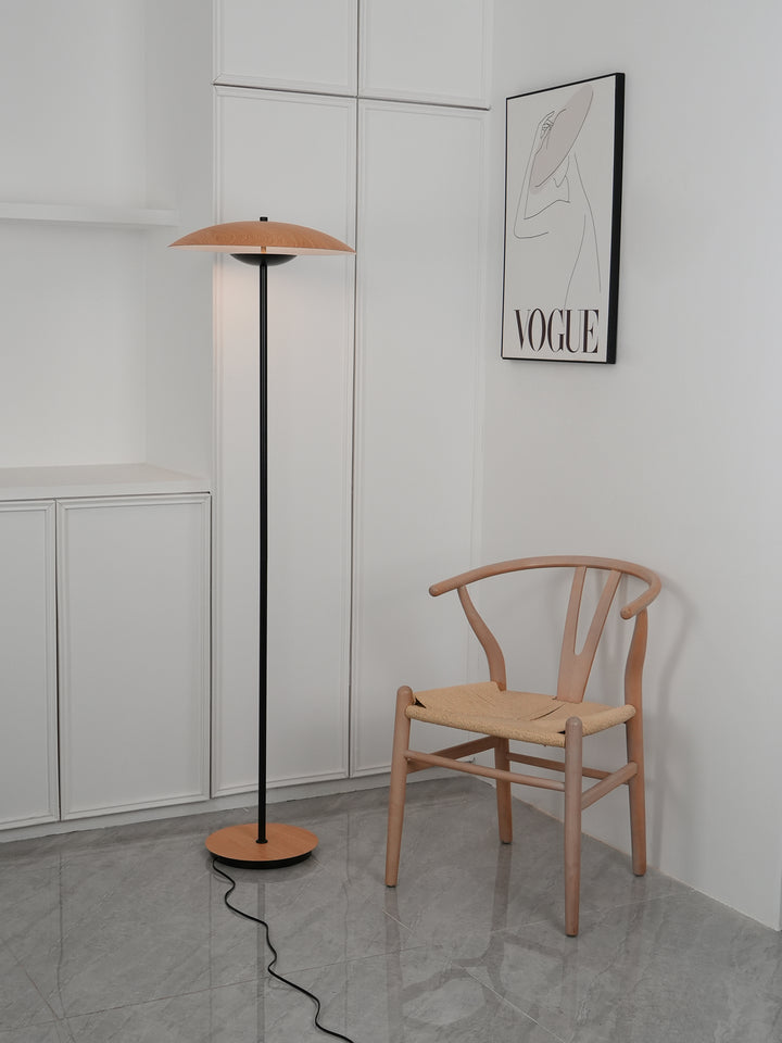 Innovative Directional Floor Lamp