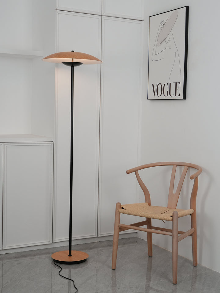 Innovative Directional Floor Lamp