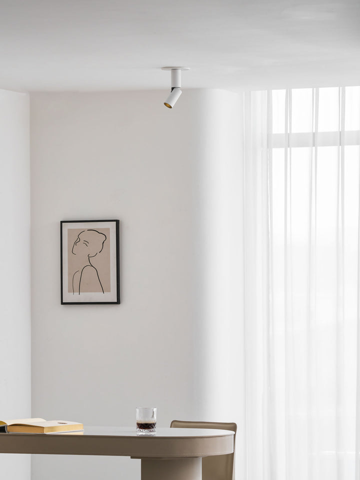 Julian Adjustable Surface Downlight - Vakkerlight