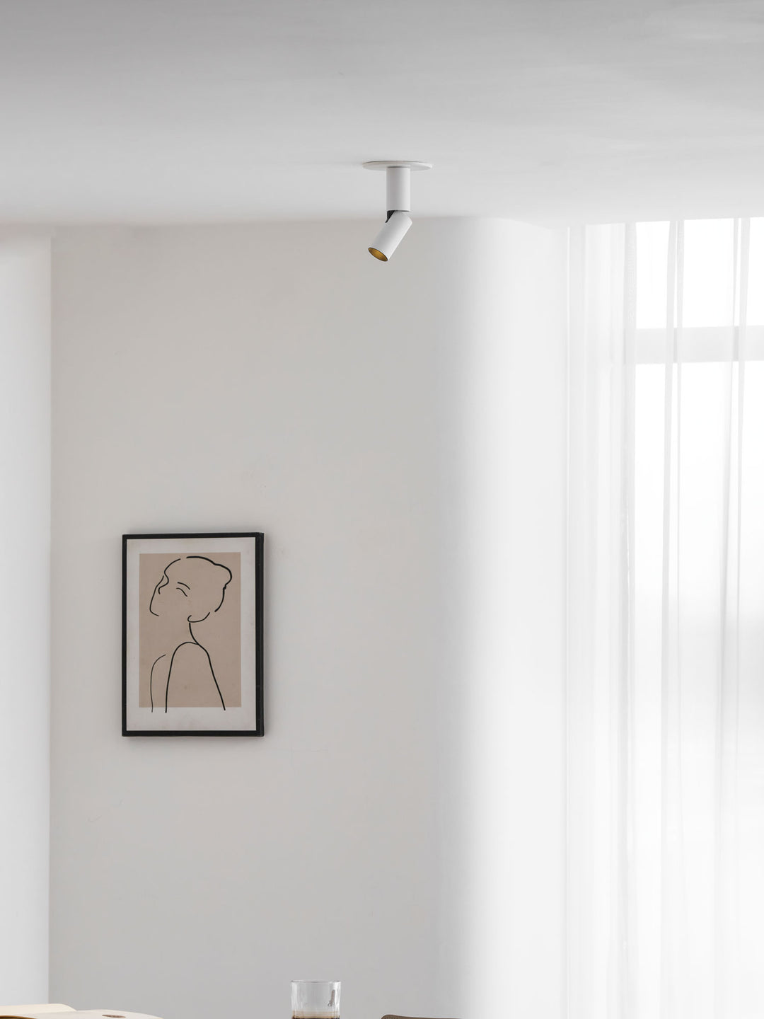 Julian Adjustable Surface Downlight - Vakkerlight