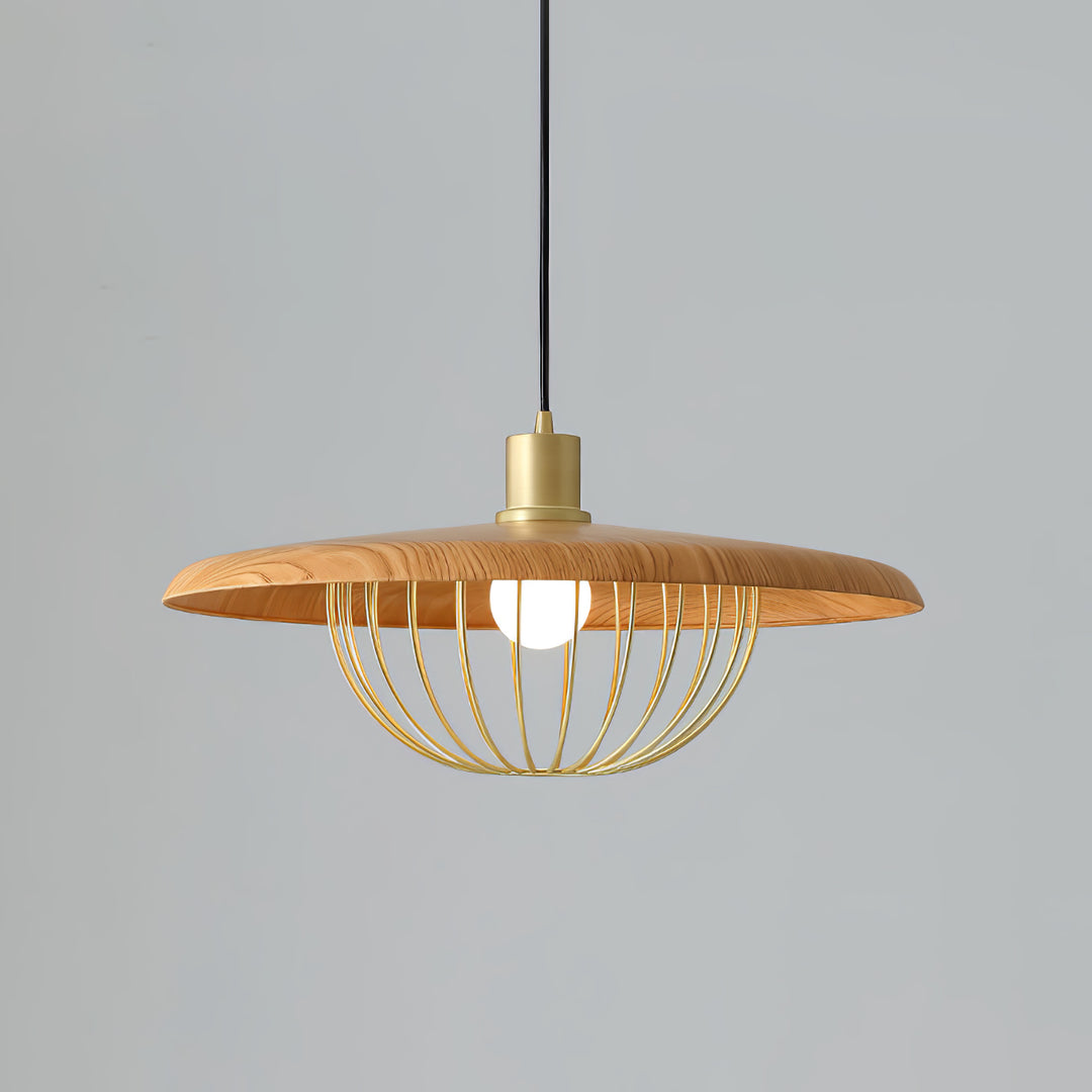 Kasa hanglamp