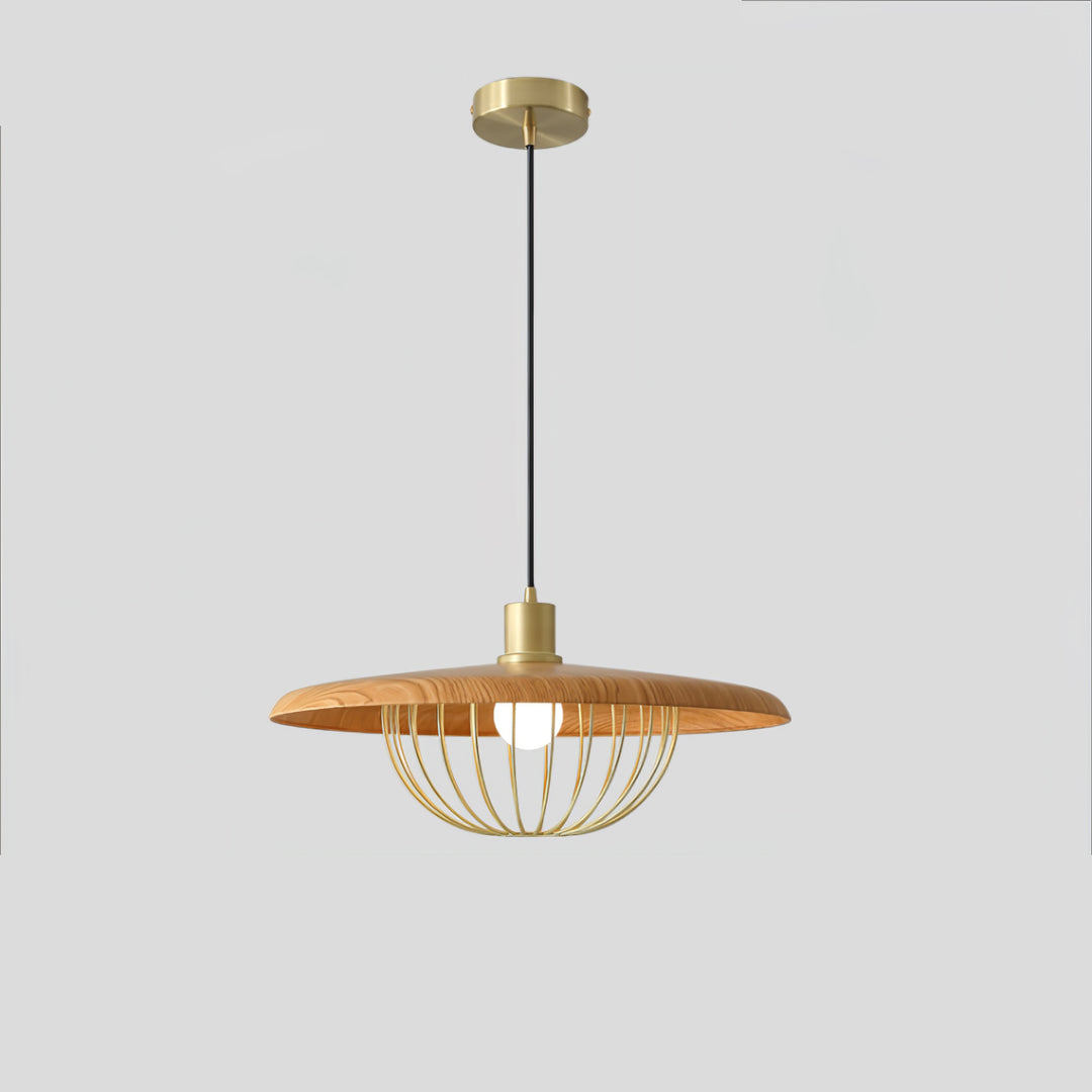 Kasa hanglamp