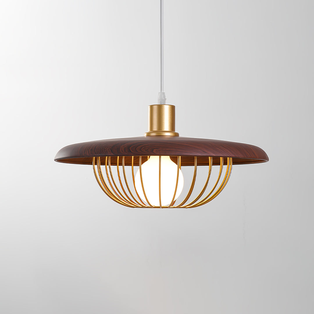 Kasa hanglamp