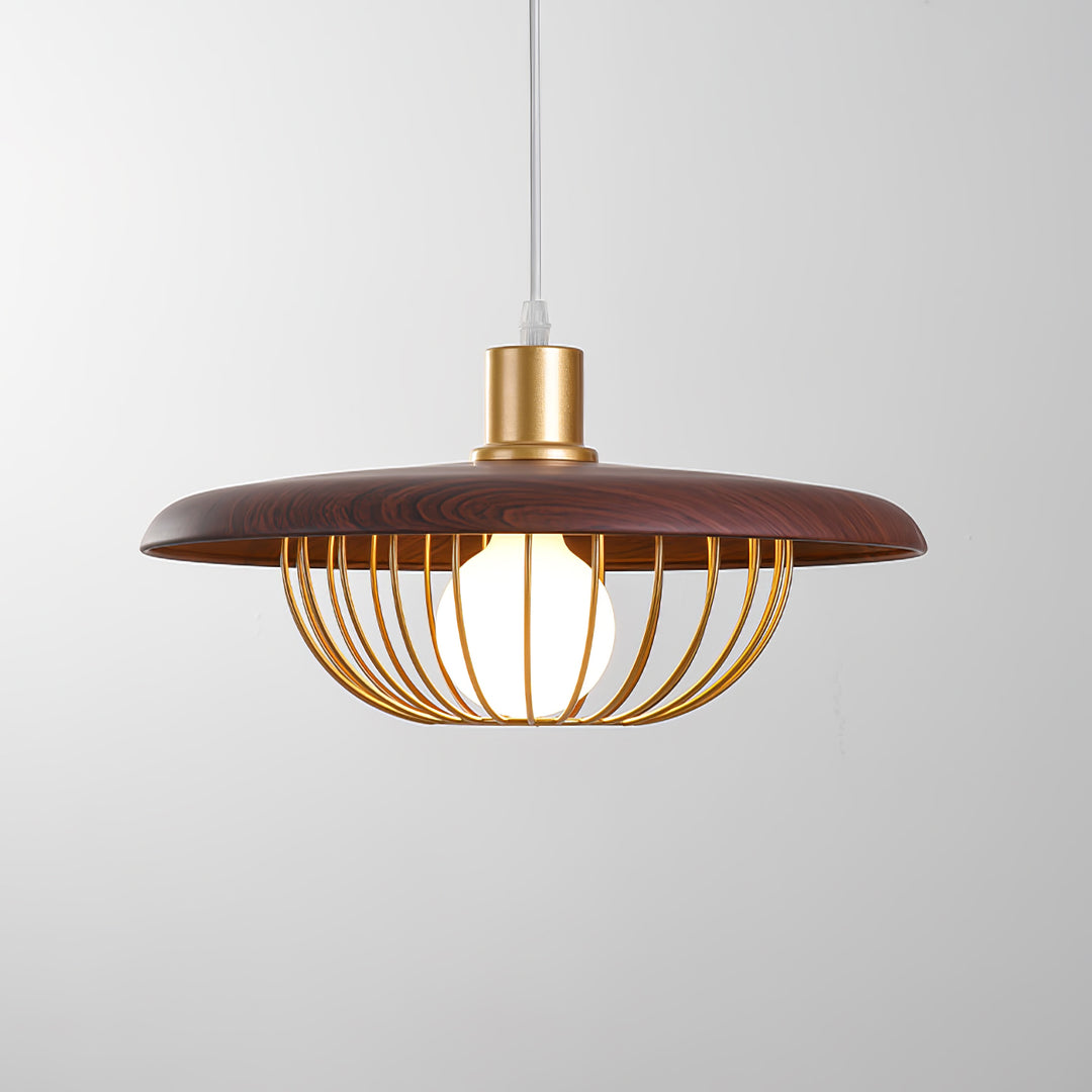 Kasa hanglamp