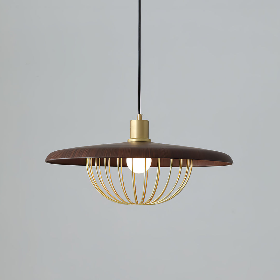 Kasa hanglamp