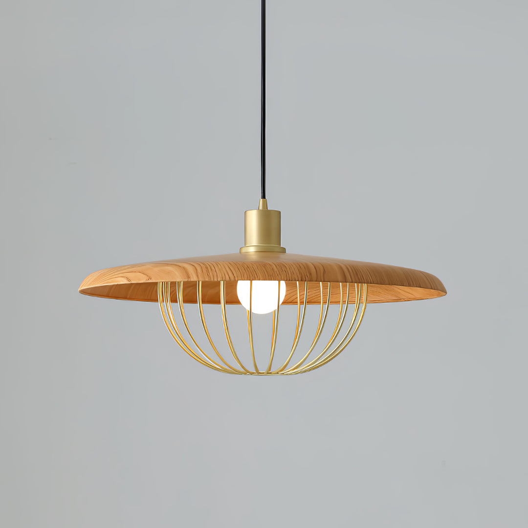 Kasa hanglamp