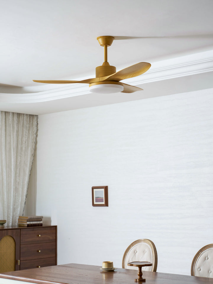 Keltis 48"/52" Ceiling Fan Light - Vakkerlight