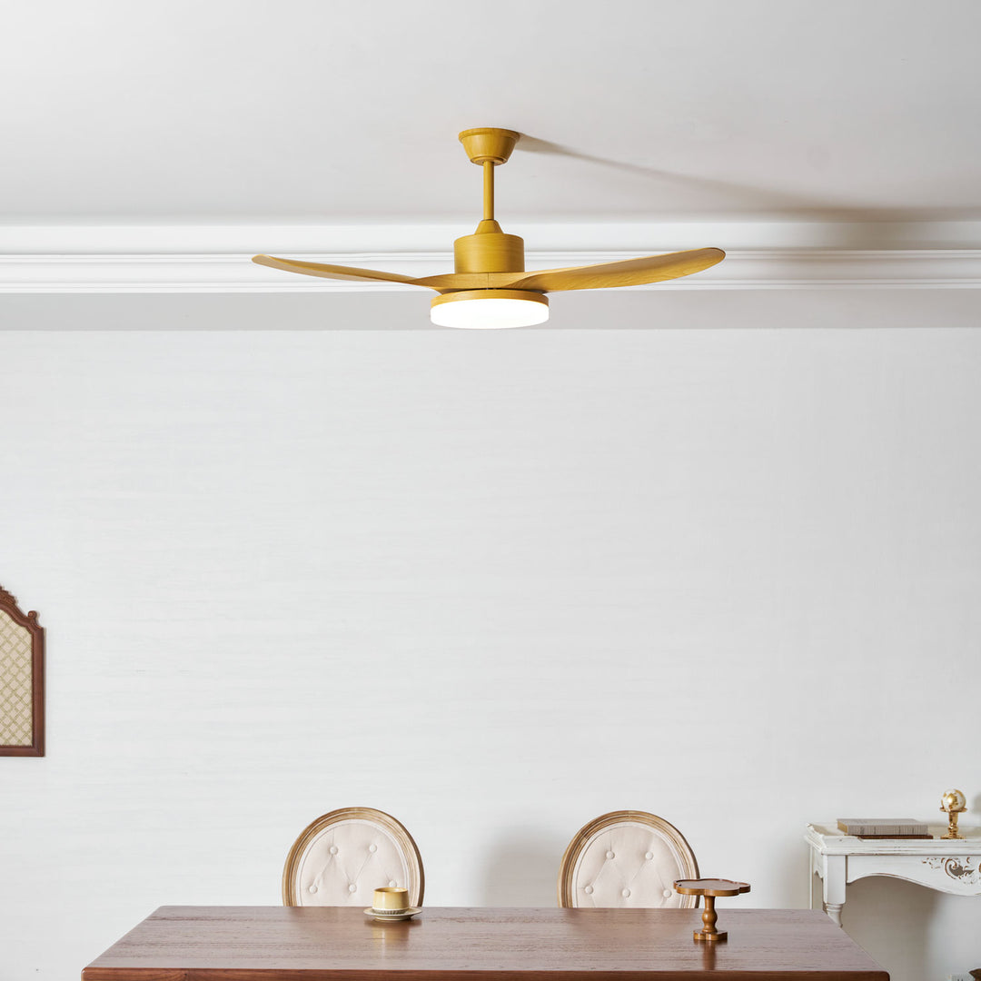 Keltis 48"/52" Ceiling Fan Light - Vakkerlight