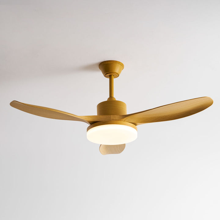 Keltis 48"/52" Ceiling Fan Light - Vakkerlight