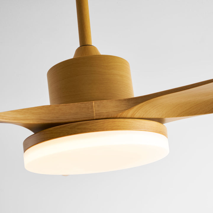 Keltis 48"/52" Ceiling Fan Light - Vakkerlight