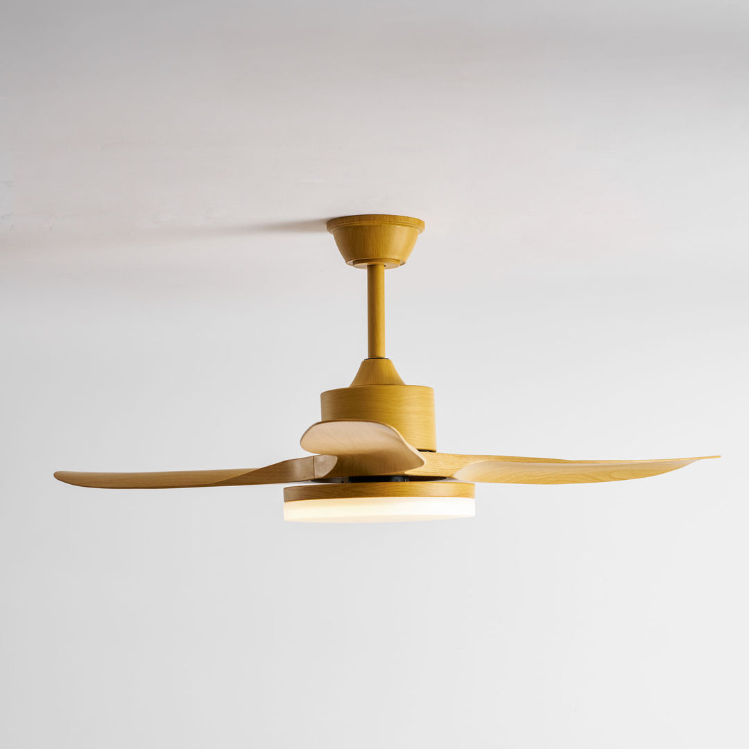 Keltis 48"/52" Ceiling Fan Light - Vakkerlight