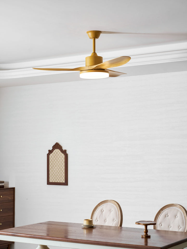 Keltis 48"/52" Ceiling Fan Light - Vakkerlight