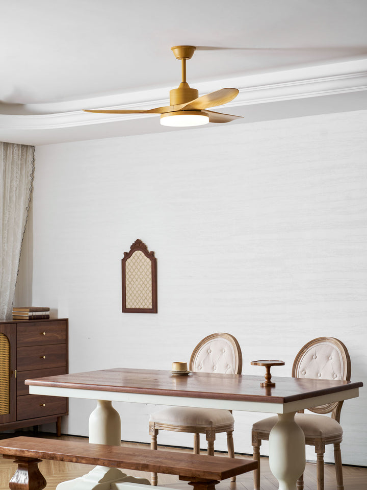 Keltis 48"/52" Ceiling Fan Light - Vakkerlight