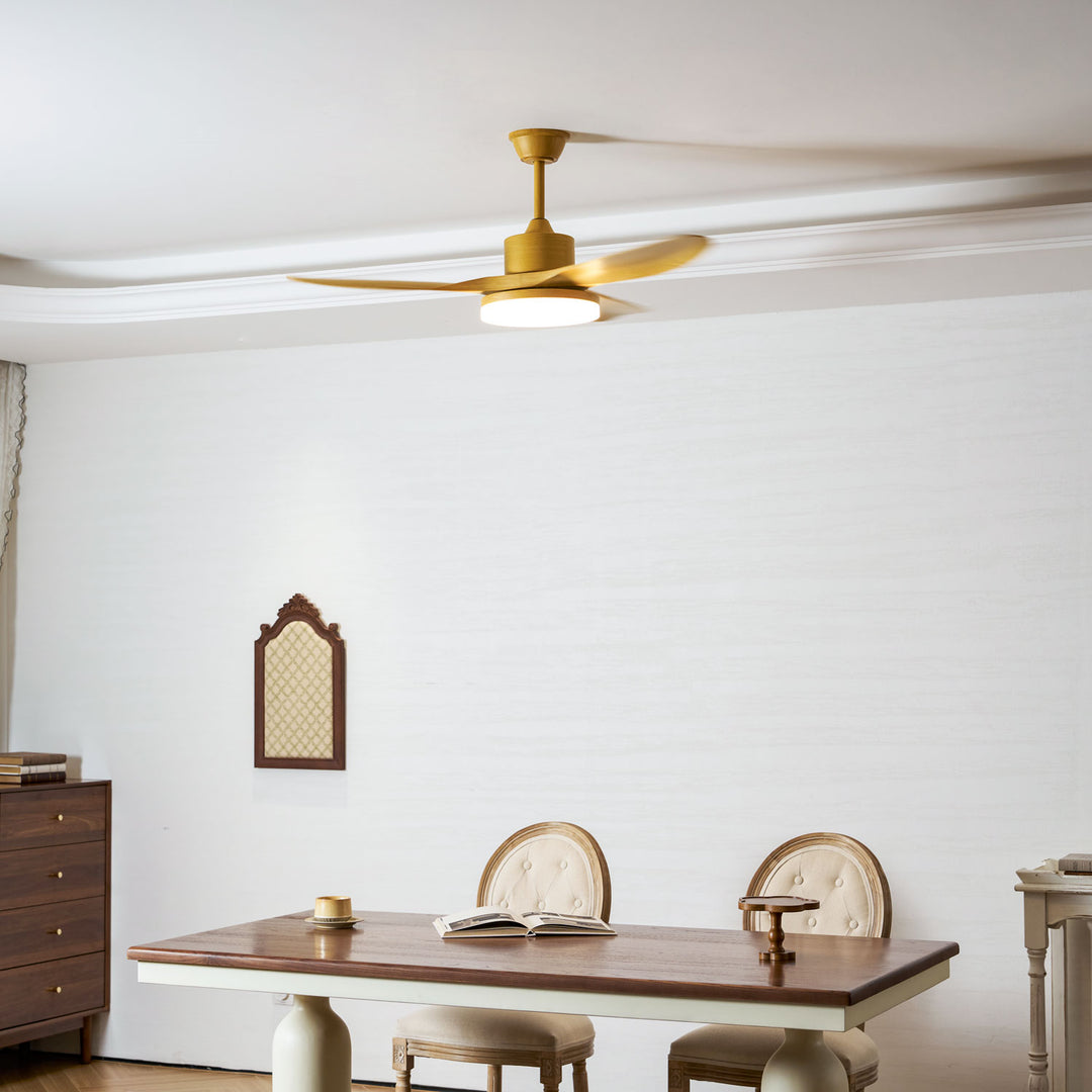 Keltis 48"/52" Ceiling Fan Light - Vakkerlight