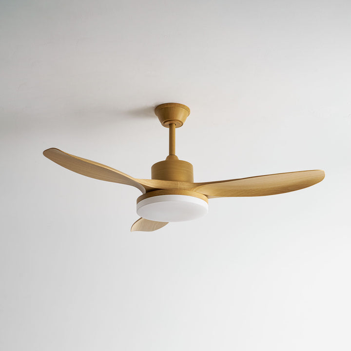 Keltis 48"/52" Ceiling Fan Light - Vakkerlight