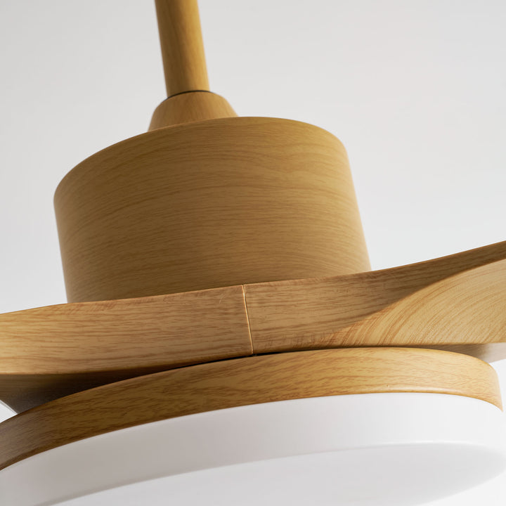 Keltis 48"/52" Ceiling Fan Light - Vakkerlight