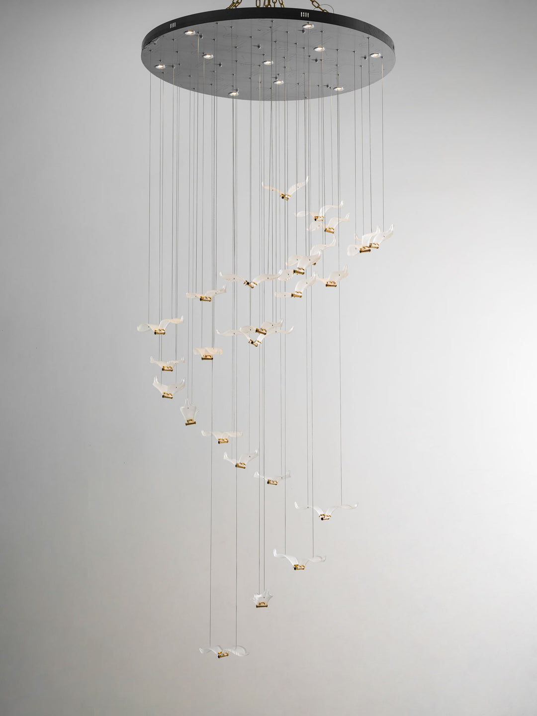 Large Seagull Chandelier - Vakkerlight