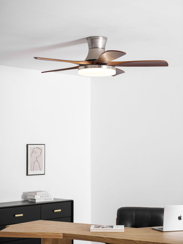 Liam Ceiling Fan Light - Vakkerlight