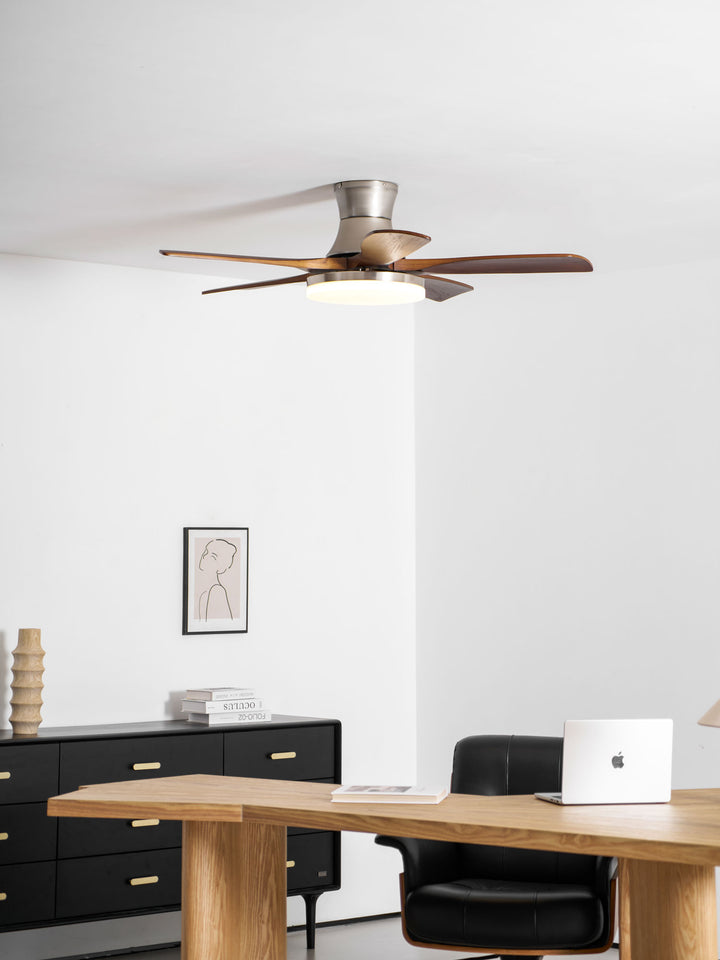 Liam Ceiling Fan Light - Vakkerlight