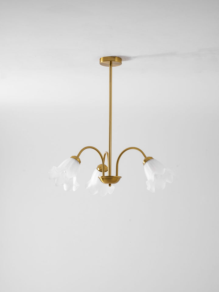 Lily Chandelier - Vakkerlight