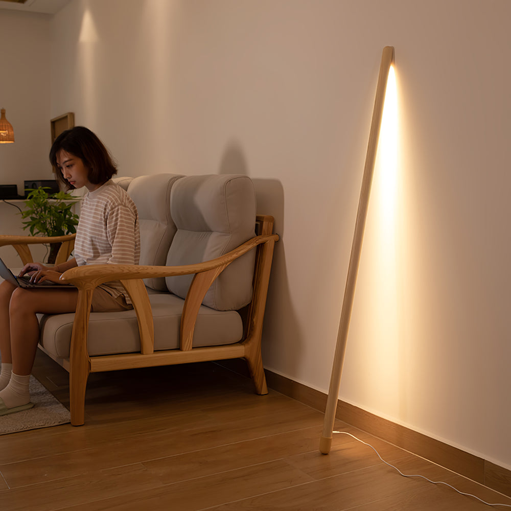 Line Assist Ambience Floor Lamp - Vakkerlight