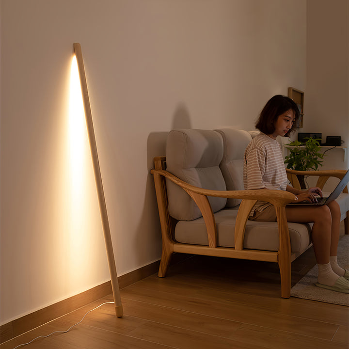 Line Assist Ambience Floor Lamp - Vakkerlight