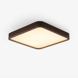 Lira Rectangular Ceiling Light