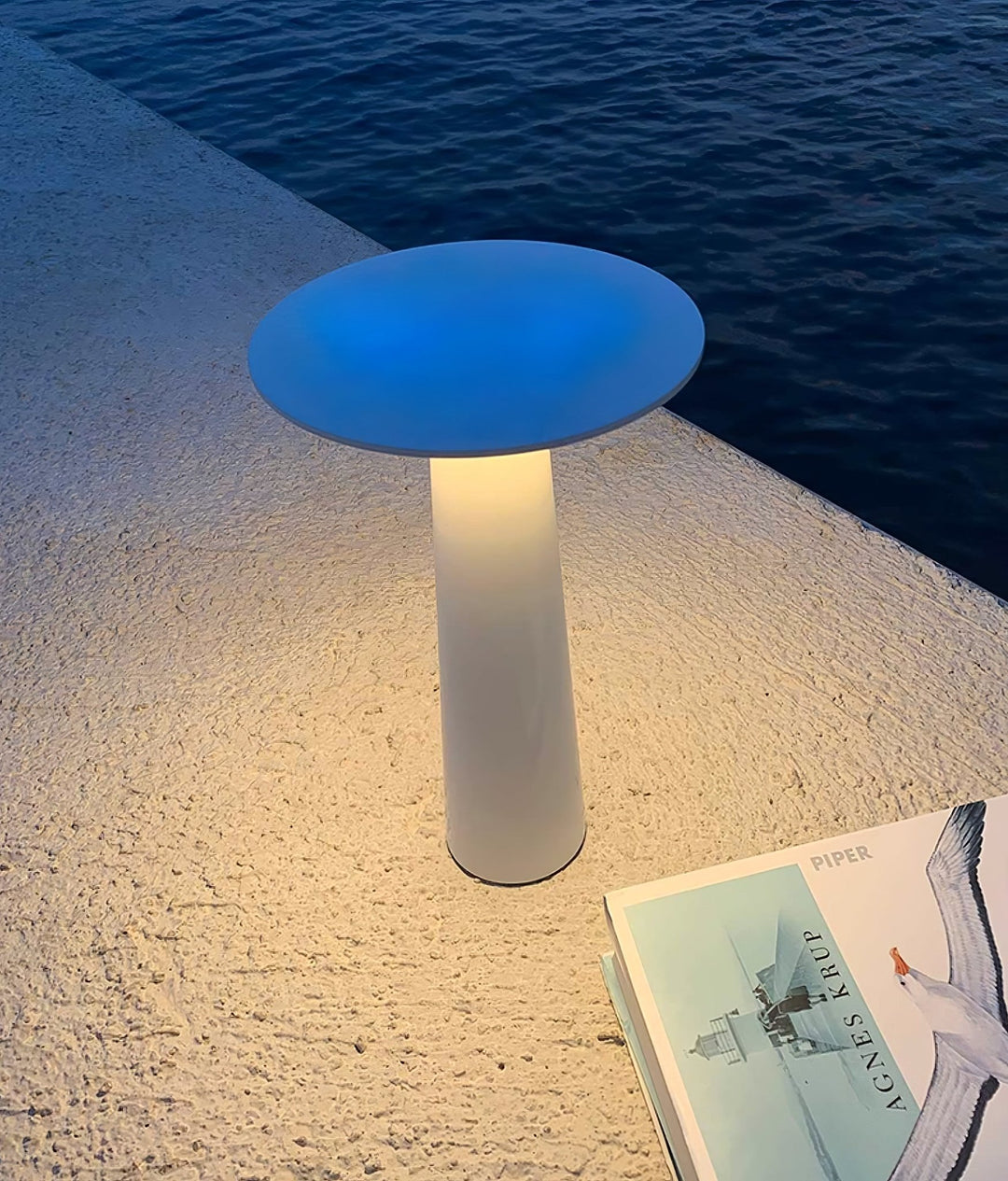 Luma Disk Outdoor Table Light - Vakkerlight