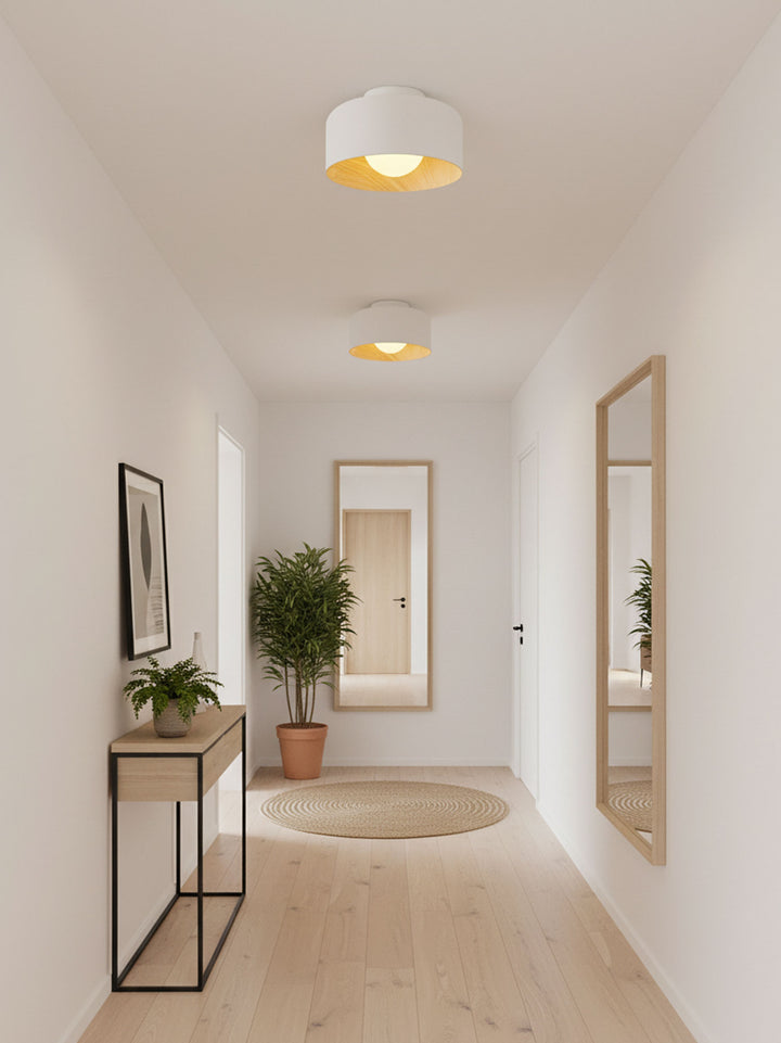 Lumosphere Ceiling Light - Vakkerlight