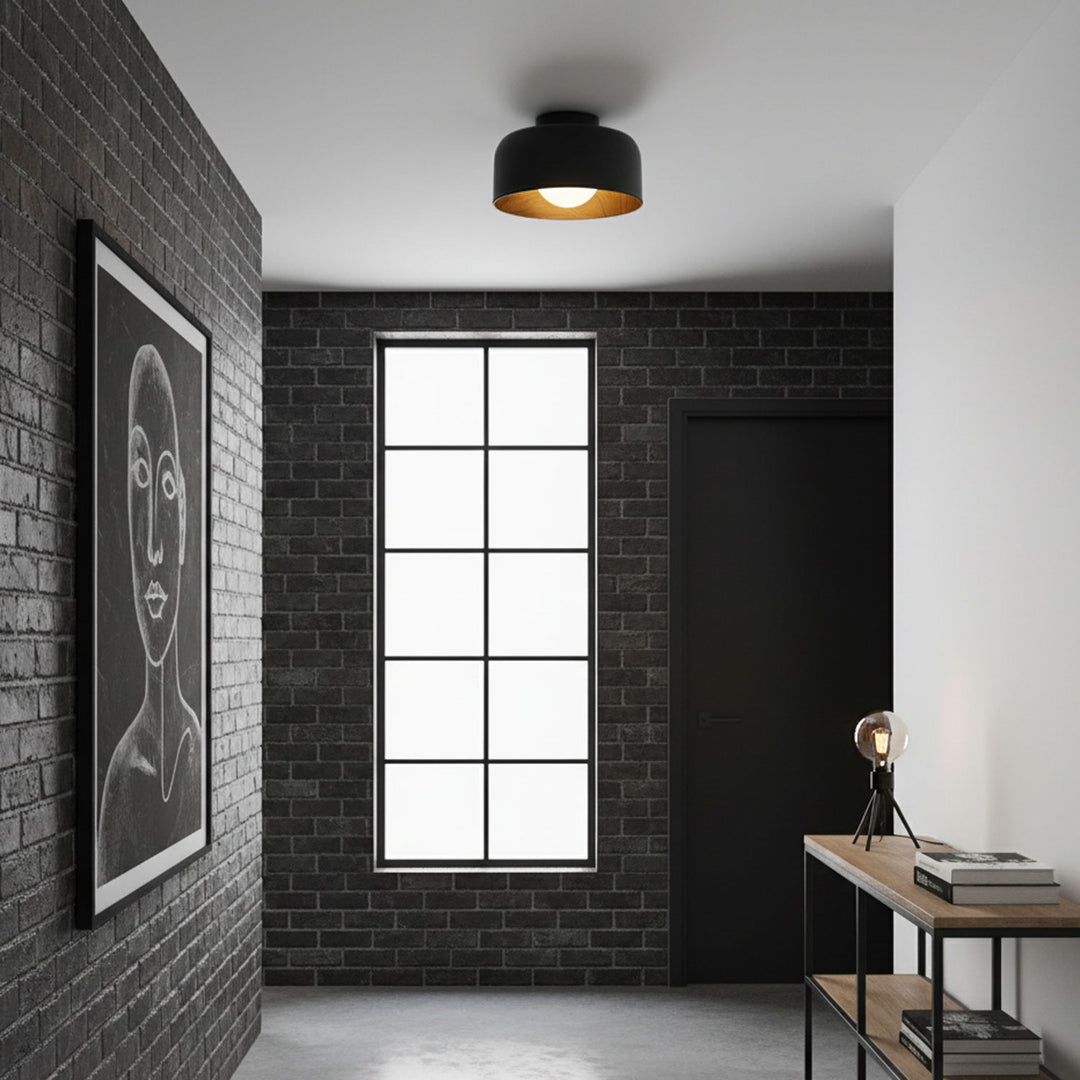 Lumosphere Ceiling Light - Vakkerlight