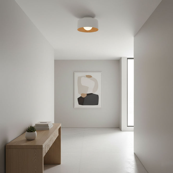 Lumosphere Ceiling Light - Vakkerlight