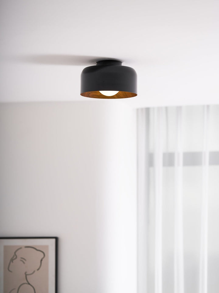 Lumosphere Ceiling Light - Vakkerlight